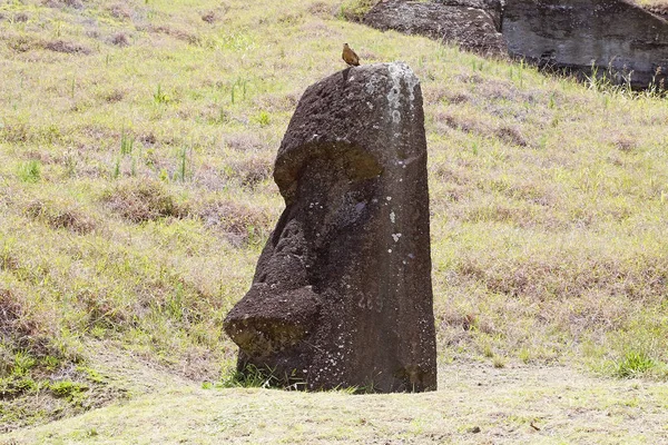 Wyspa Wielkanocna, chile — Zdjęcie stockowe