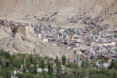 Leh Palace, India