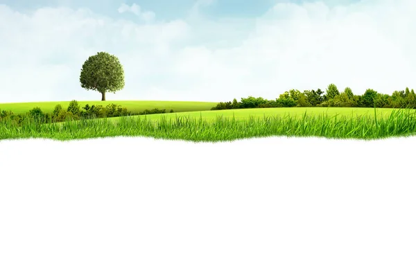 Illustration of green landscape — Stock Photo, Image