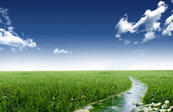Stream in a grassland — Stock Photo, Image