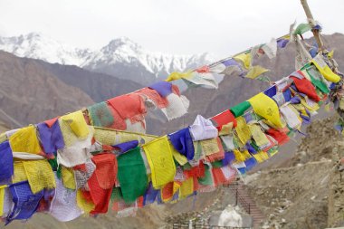Dua bayrakları Ladakh, Hindistan