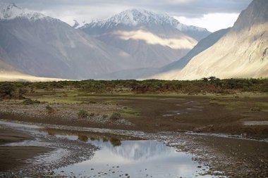 Nubra Vadisi, Ladakh, Hindistan