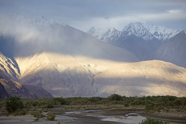 Nubra Vadisi, Ladakh, Hindistan