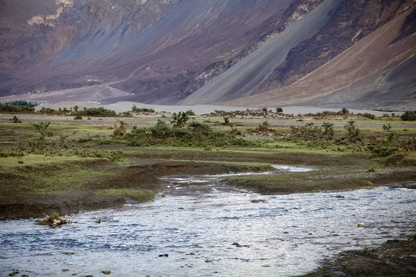 Nubra valley, Ladakh, India — Stock Photo, Image