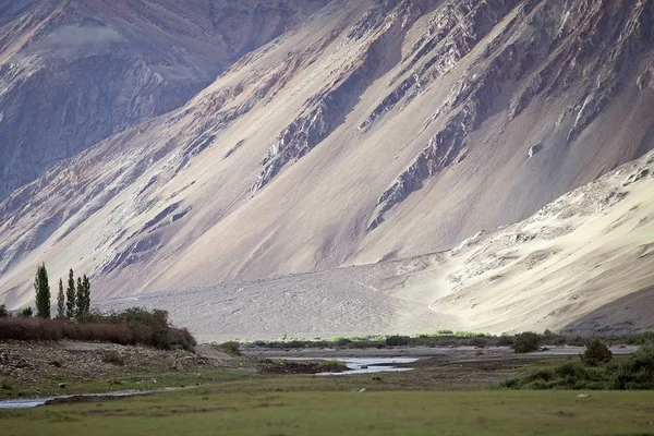 Nubra Vadisi, Ladakh, Hindistan