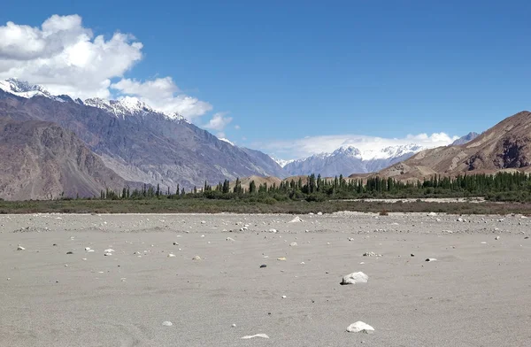 Landschaft im Nubra-Tal, ladakh, Indien — Stockfoto