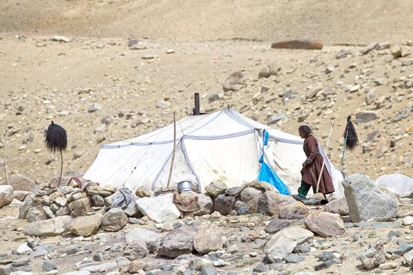 Mulher nômade em Ladakh, Índia — Fotografia de Stock