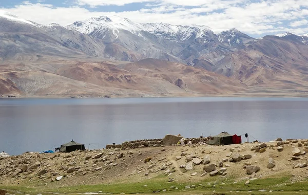 Tienda nómada en Ladakh, India —  Fotos de Stock