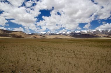 Ladakh, Hindistan 'daki Tso Kar Gölü
