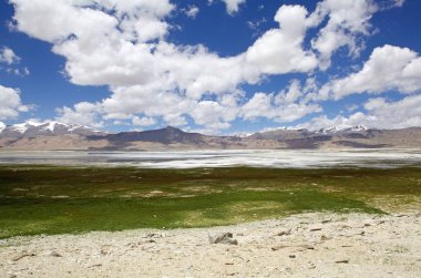 Ladakh, Hindistan 'daki Tso Kar Gölü
