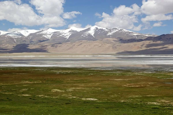 Ladakh, Hindistan 'daki Tso Kar Gölü