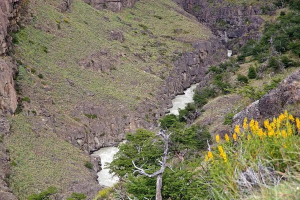 Fitz Roy ποταμού στο το Los Glaciares εθνικό πάρκο, Αργεντινή — Φωτογραφία Αρχείου