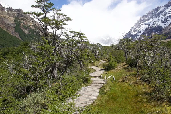 Trail Серро Torre в Лос Ґласіарес національного парку, Аргентина — стокове фото