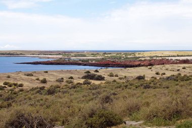 Punta Tombo Atlantik Okyanusu, Patagonia, Arjantin