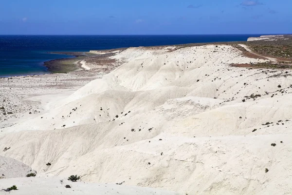 Na pobřeží po Punta Loma poblíž Puerto Madryn, město v provincii Chubut, Patagonie, Argentina — Stock fotografie