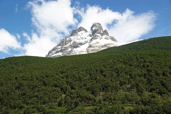 Berg en bos-uitzicht vanaf de Argentino Lake, Argentinië — Stockfoto