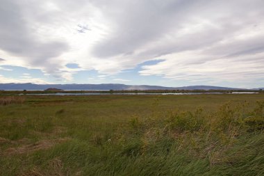 Laguna Nimez, Patagonia, Arjantin için El Calafate adlı bir yaban hayatı rezerv