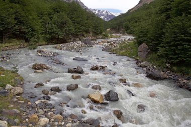 Nehir boyunca iz için Torres del Paine Torres del Paine Milli Parkı, Şili Patagonya, Chile
