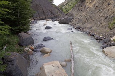 Nehir boyunca iz için Torres del Paine Torres del Paine Milli Parkı, Şili Patagonya, Chile