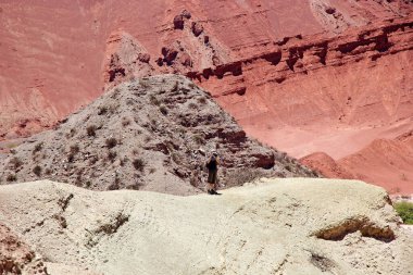 Quebrada de las Conchas Calchaqui Vadisi, Arjantin