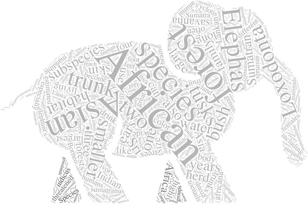 Elephant shape word cloud — Stock Photo, Image