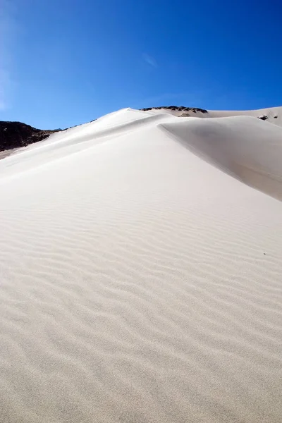 Peisaj în Puna de Atacama, Argentina — Fotografie, imagine de stoc