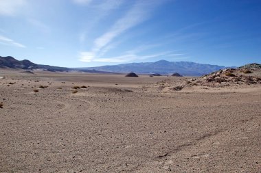 Puna de Atacama 'da manzara, Arjantin