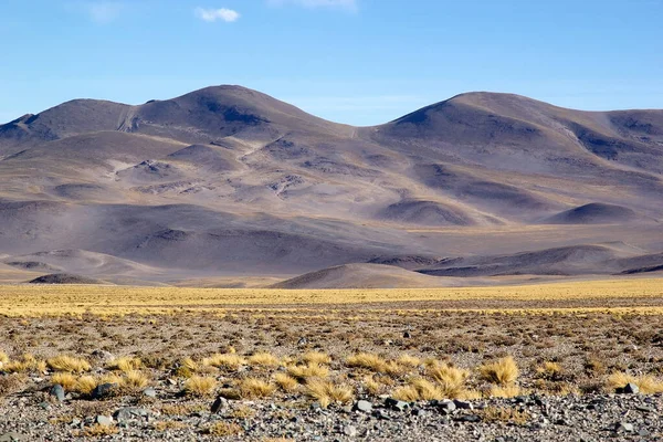 Krajina v Puna de Atacama, Argentina — Stock fotografie