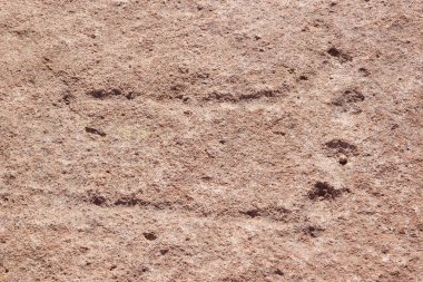 Campo Las Tobas taş sanatının olduğu bir site. Oymalar Arjantin 'de yapılmış.