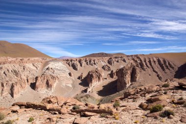 Puna de Atacama 'da manzara, Arjantin
