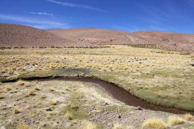 Puna de Atacama, Arjantin 'de akarsu manzarası