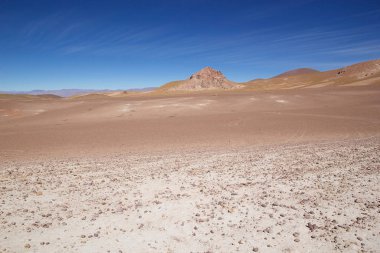 Puna de Atacama 'da manzara, Arjantin