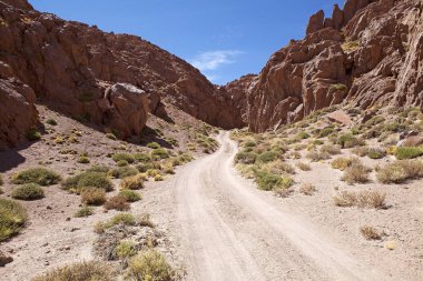 Puna de Atacama 'daki Kanyon, Arjantin