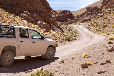 Puna de Atacama 'daki Kanyon, Arjantin