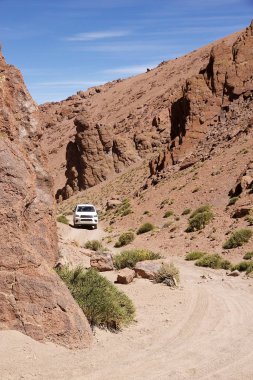 Puna de Atacama 'daki Kanyon, Arjantin