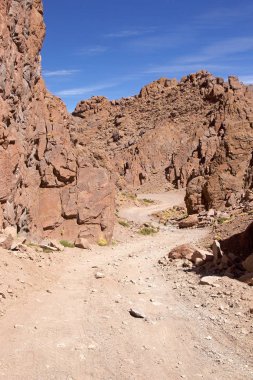 Puna de Atacama 'daki Kanyon, Arjantin