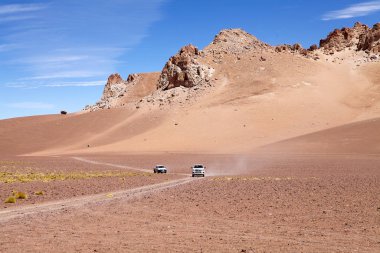 Puna de Atacama 'da manzara, Arjantin
