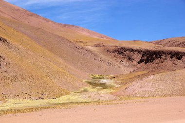 Puna de Atacama 'da manzara, Arjantin