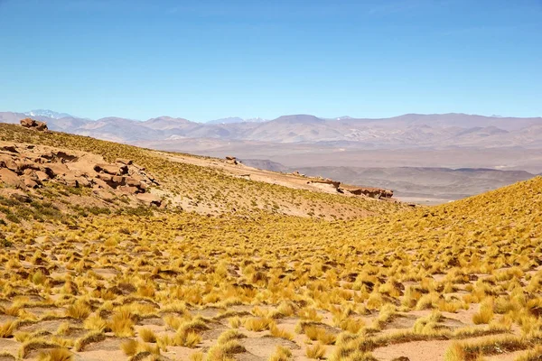 Krajina v Puna de Atacama, Argentina — Stock fotografie