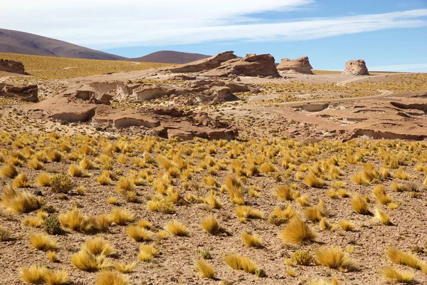 Krajobraz w Puna de Atacama, Argentyna — Zdjęcie stockowe