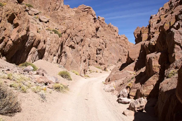 Canyon dans la Puna de Atacama, Argentine — Photo