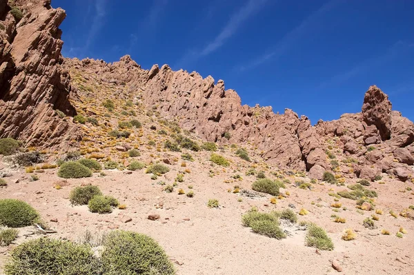 Kanion w Puna de Atacama, Argentyna — Zdjęcie stockowe