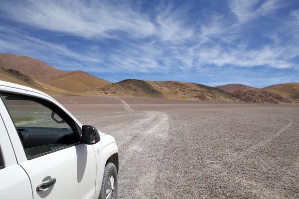 Szlak w Laguna Grande w Puna de Atacama, Argentyna — Zdjęcie stockowe