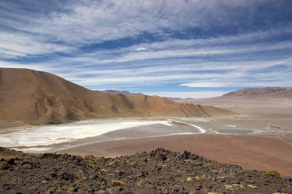 Arjantin, Puna de Atacama 'daki Laguna Grande' de manzara — Stok fotoğraf