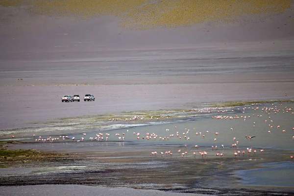 Laguna Grande nella provincia di Catamarca a Puna de Atacama, Argentina — Foto Stock