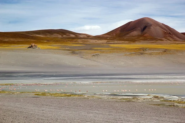 Arjantin 'in Puna de Atacama eyaletindeki Catamarca eyaletinde Laguna Grande — Stok fotoğraf