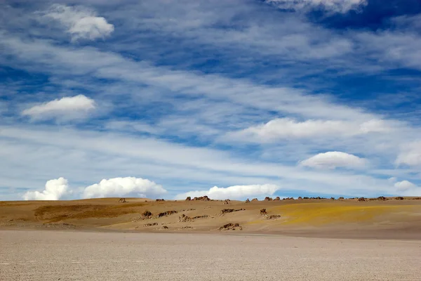 Laguna Grande v provincii Catamarca v Puna de Atacama, Argentina — Stock fotografie