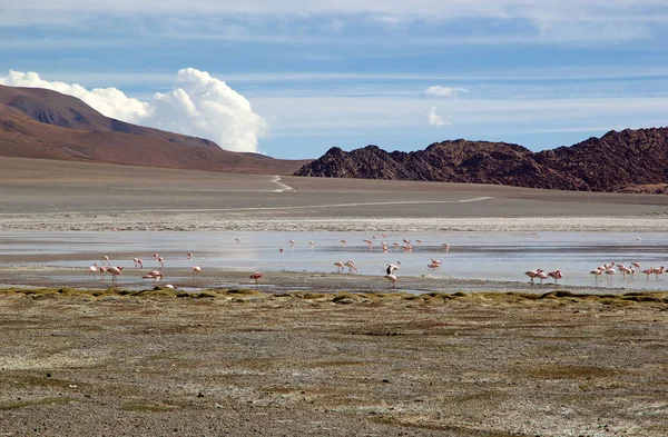 Laguna grande in der katamarca provinz an der puna de atacama, argentina — Stockfoto