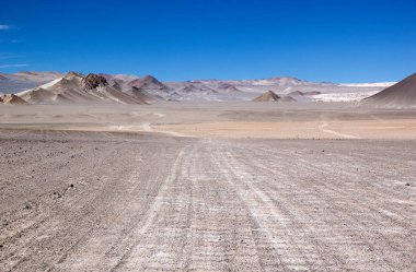 Puna de Atacama, Arjantin manzarası