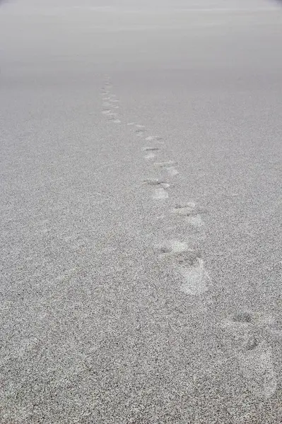 Footprints on the sand of a white dune, Argentina — 스톡 사진